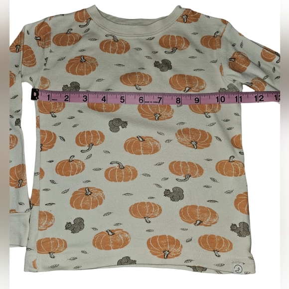 Little Planet by Carter's Boy Girl Organic Cotton PJs 2pc Harvest Pumpkins Sz 3T - Picture 13 of 16